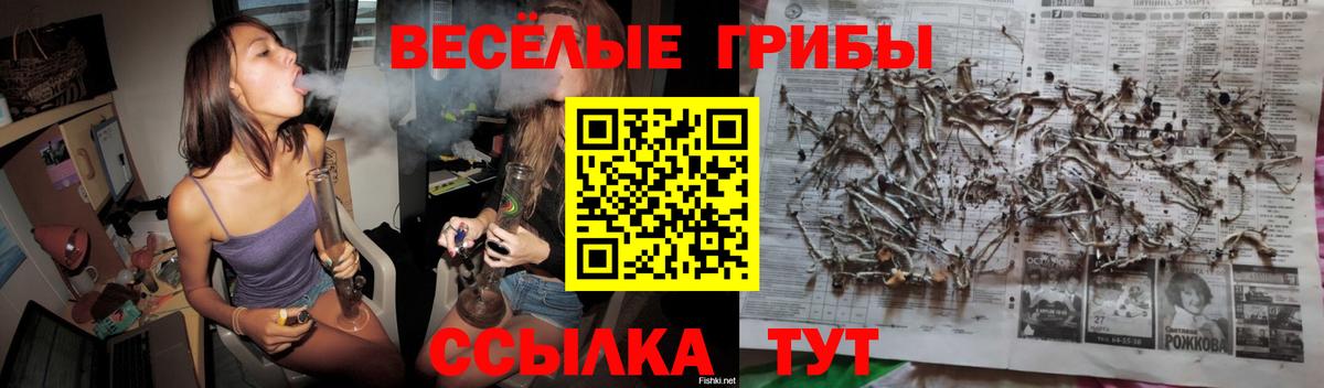 Галлюциногенные грибы прущие грибы Майский