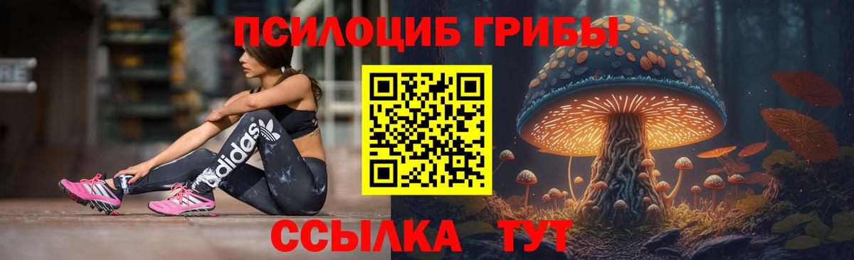 Майский  Галлюциногенные грибы Psilocybine cubensis  Вход с VPN 